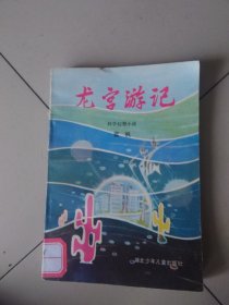 龙宫游记