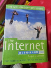 he Internet: The Rough Guide 2000