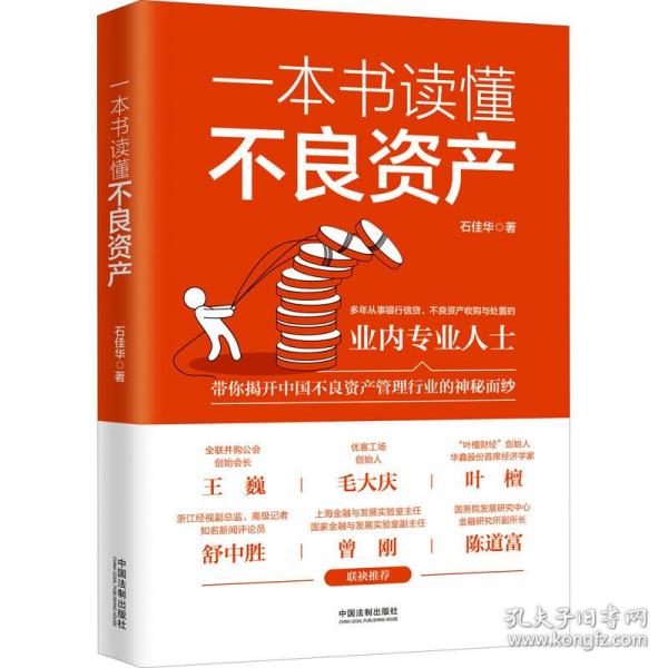 一本书读懂不良资产（王巍、毛大庆、叶檀、舒中胜、曾刚、陈道富联合推荐）