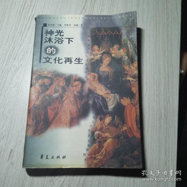 神光沐浴下的文化再生:文明在中世纪的艰难脚步