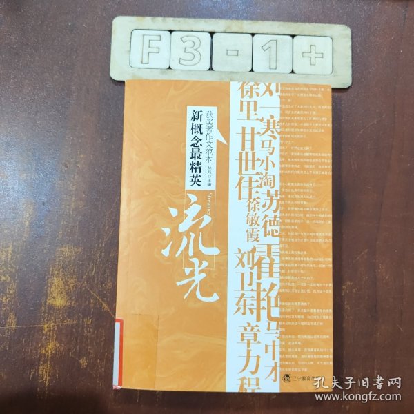 流光（新概念-精英获奖者作文范本）（特惠品）-