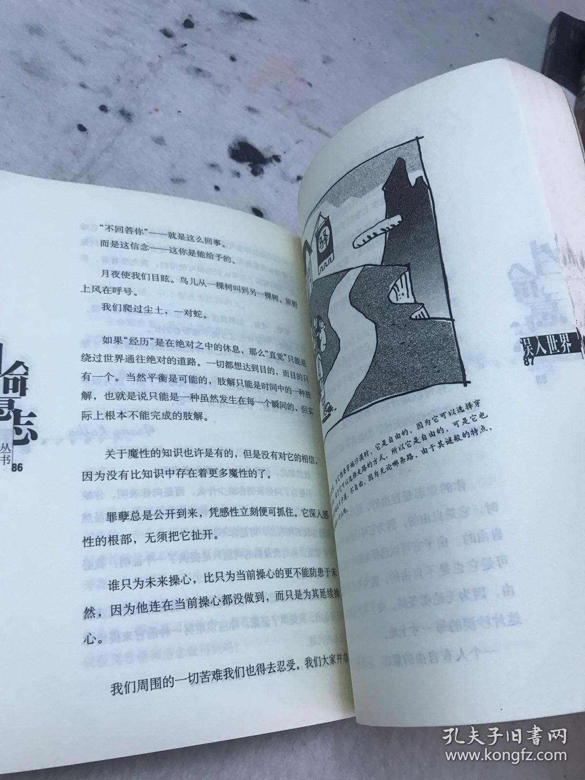 误入世界：卡夫卡悖谬论集