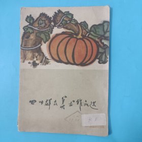 四川群众美术作品选【1960年一版一印，仅印1500册】