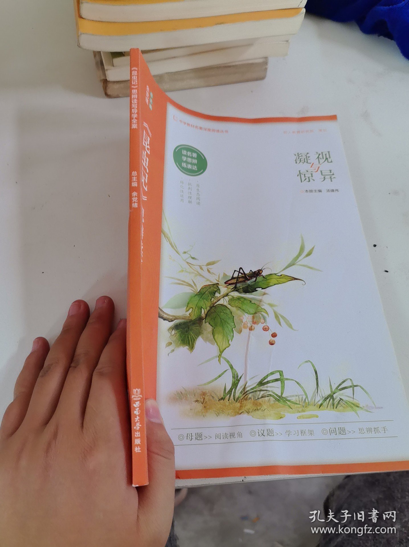 昆虫记：思辨读写导学全案