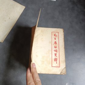 毛主席诗词浅释 1968 红卫兵