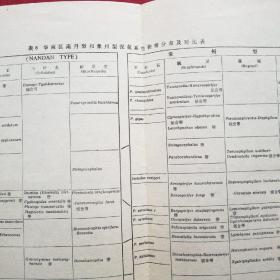 地质地层方面的图表2-20共19张合售（中国寒武系化石带及化石组合 中国寒武系对比简表 中国奥陶系生物组合划分及与国外奥陶系对比表 中国奥陶系对比简表 中国志留系的划分和对比 中国志留系与国外的对比 华南区南丹型和象州型泥盆系生物带分布及对比表 中国泥盆纪地层对比表 中国石炭系对比表 中国石炭纪地层对比简表 中国南部二叠纪标准分层及其主要生物群和化石带其余表名称见描述）