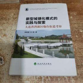 新型城镇化模式的实践与探索：大连普湾新区炮台街道考察