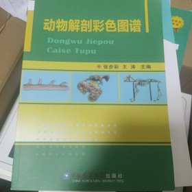 动物解刨彩色图谱