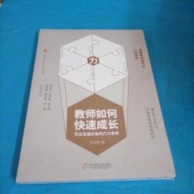 教师如何快速成长：专业发展必备的六大素养 大夏书系