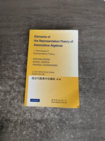 结合代数表示论基础(第1卷)