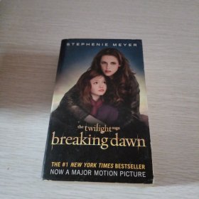 Breaking Dawn
