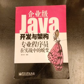 Java技术大系·企业级Java开发与架构：专业程序员在实战中的蜕变 （前屋66F）