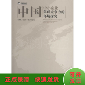 中国中小企业集群竞争力的环境探究