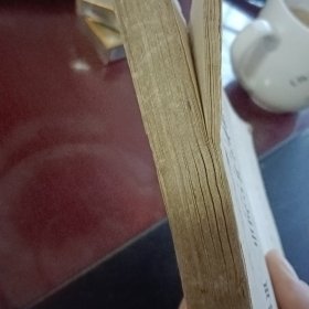 鲁迅一中国文化革命的巨人
