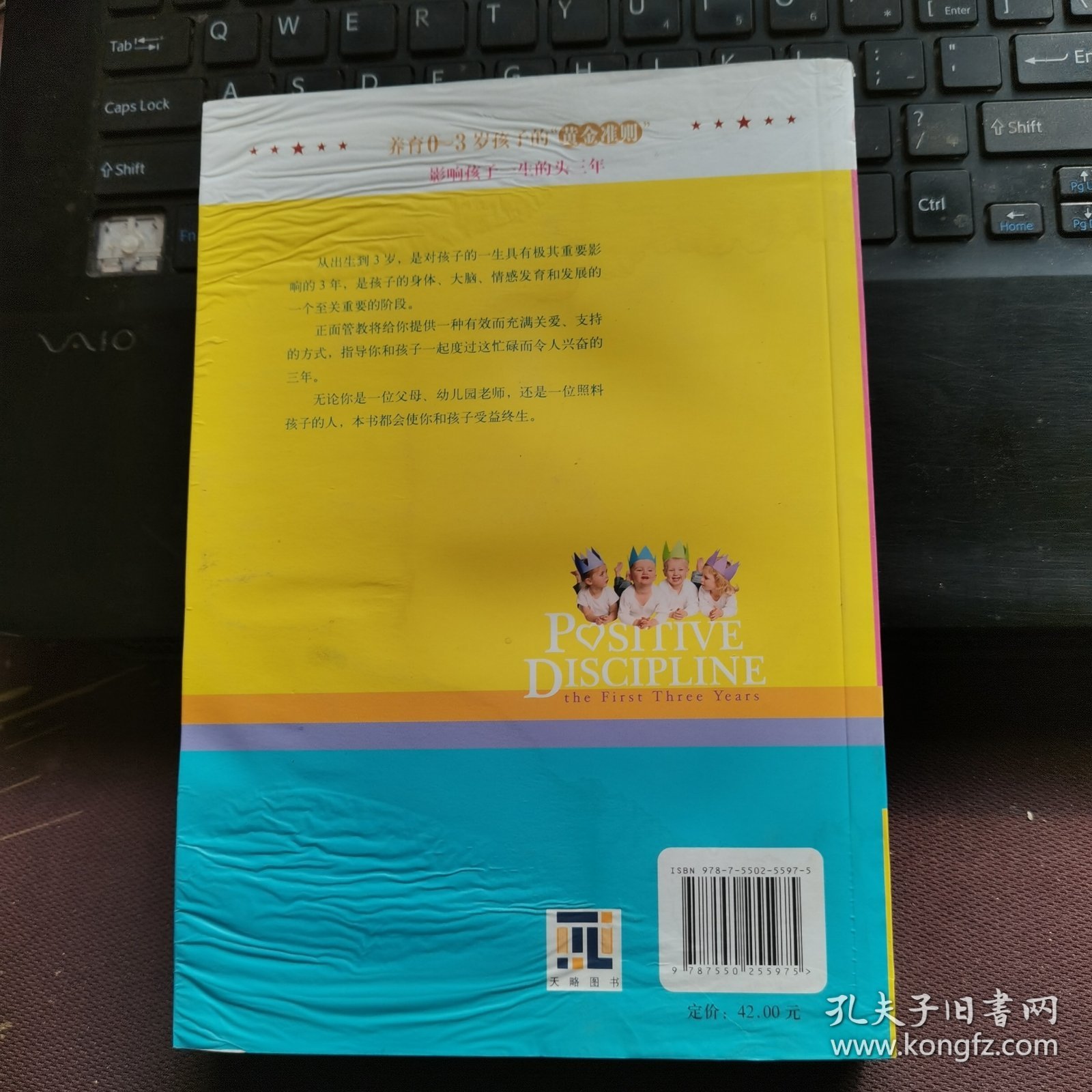 0-3岁孩子的正面管教：影响孩子一生的头三年
