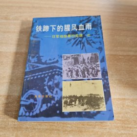 海南文史资料.第十一辑.铁蹄下的腥风血雨:日军侵琼暴行实录