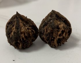 官帽把玩核桃