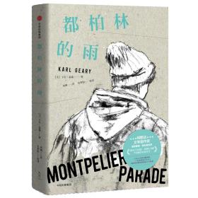 都柏林的雨 外国现当代文学 (美)卡尔·盖瑞(karl geary)