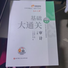 2023年注册师试基础大通关 审计(全2册) 经济考试 张敬富主编;东奥在线编 新华正版