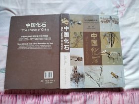 中国化石 【硬精装 大16开，超级大厚本，2007年一版一印】四个书角有磕碰，内页干净，具体看图，