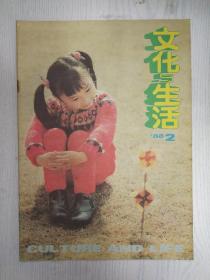 文化与生活1988-2