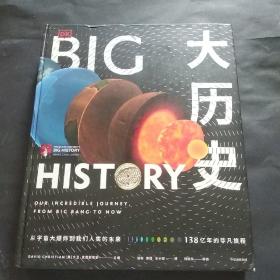 DK大历史：从宇宙大爆炸到我们人类的未来，138亿年的非凡旅程