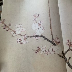 八花图