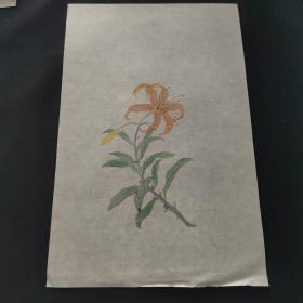木刻水印 信笺纸 套色印刷 花卉图9