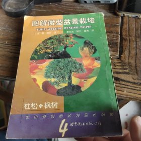 图解微型盆景栽培.4.杜松·枫树