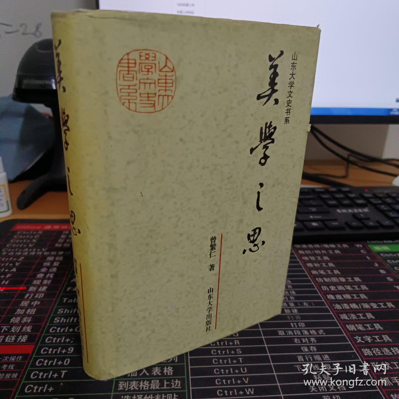 山东大学文史书系：美学之思