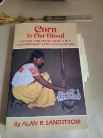 corn is our blood culture and ethnic identity IN A contemporary AzteC iNDIAN VILLAGE