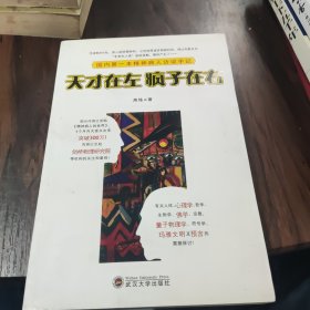 天才在左 疯子在右：国内第一本精神病人访谈手记