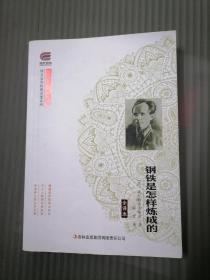 钢铁是怎样炼成的