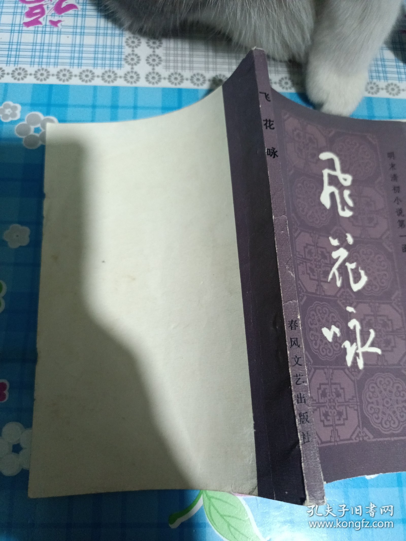 明末清初小说第一函(八)飞花咏
