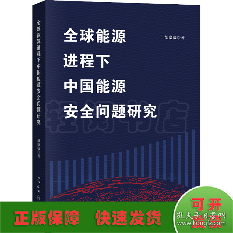 全球能源进程下中国能源安全问题研究