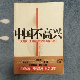 中国不高兴：大时代大目标及我们的内忧外患