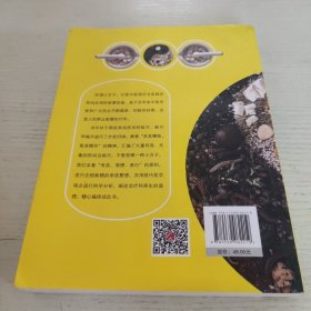 小方子治大病 中医书籍养生偏方大全民间老偏方美容养颜常见病防治 保健食疗偏方秘方大全小偏方老偏方中医健康养生保健疗法