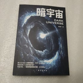 暗宇宙 韩泽枰著