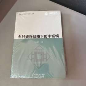 乡村振兴战略下的小城镇