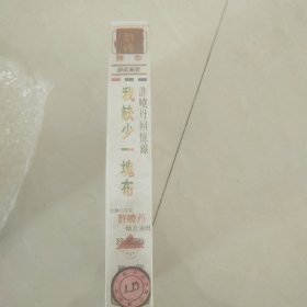 录像带 我缺少一块布