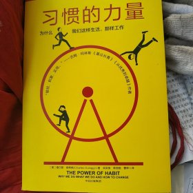 习惯的力量：为什么我们会这样生活，那样工作