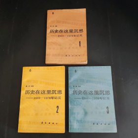 历史在这里沉思123 1966~1976年纪实