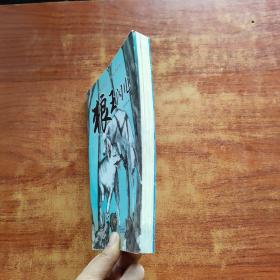 狼王闪电