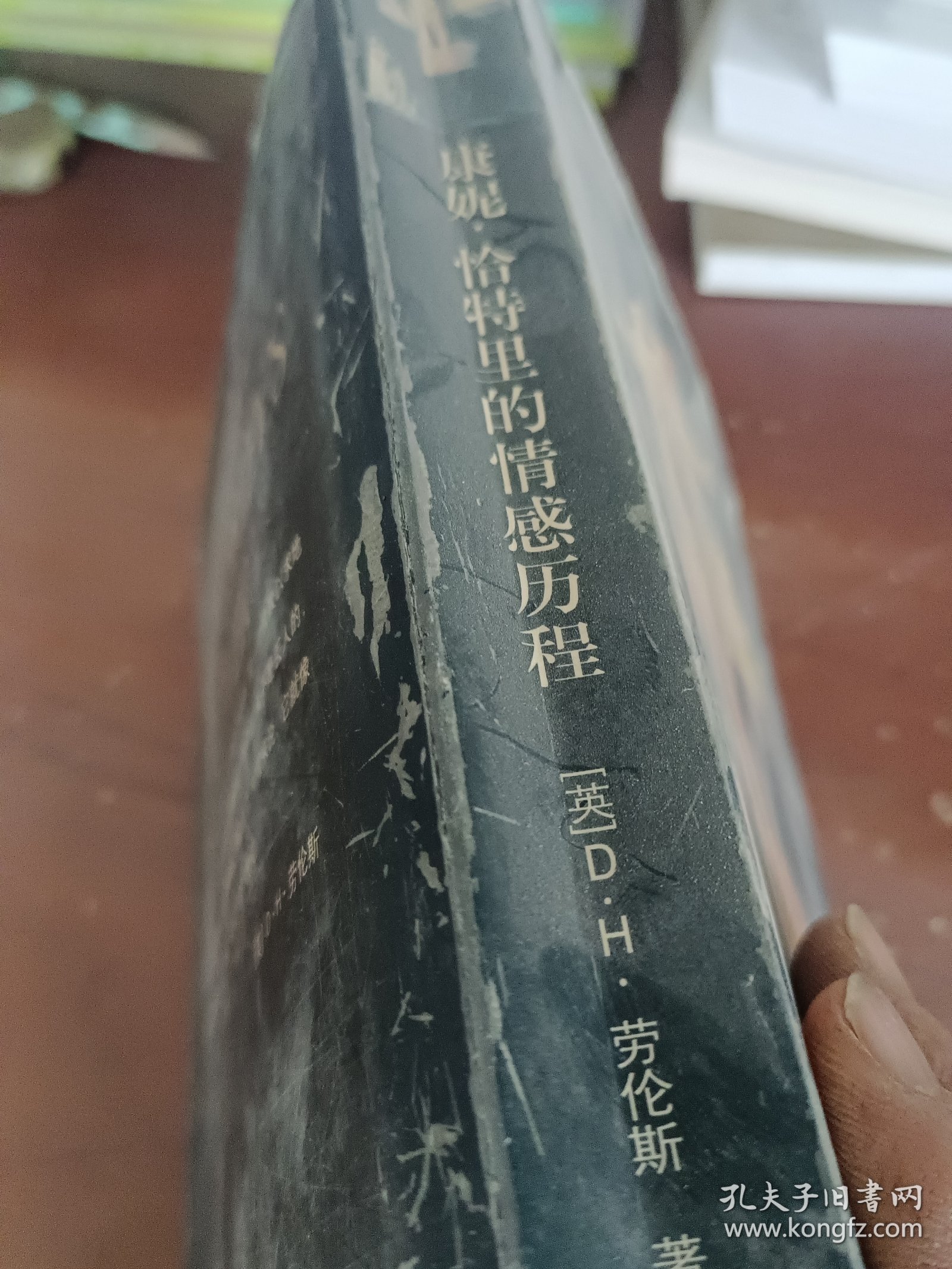 康妮·恰特里的情感历程