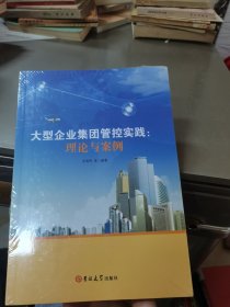 大型企业集团管控实践--理论与案例——全新未拆封