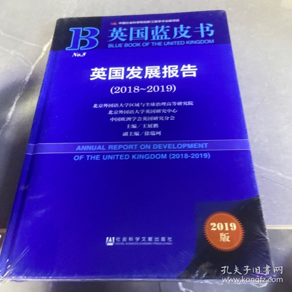 英国发展报告