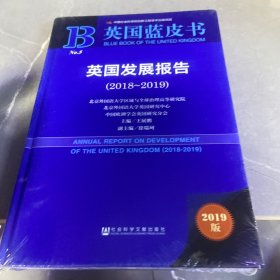 英国发展报告