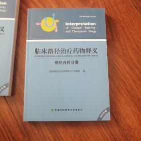 临床路径治疗药物释义神经内科分册，