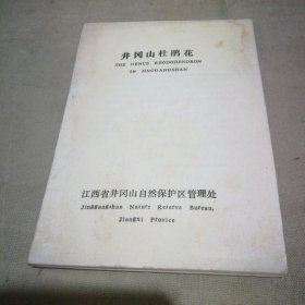 井冈山杜鹃花