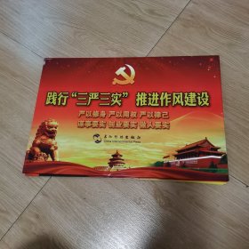 践行“三严三实”推进作风建设（共24幅8开）如图纸箱2-4